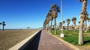 Costa Delfín, una propuesta pensada para descubrir el litoral desde una perspectiva única.