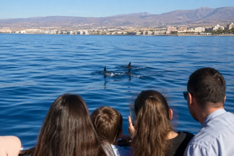Paseo en barco con Costa Delfín vs paseo en velero: diferencias y cuál elegir.Paseo en barco con Costa Delfín vs paseo en velero: diferencias y cuál elegir.Paseo en barco con Costa Delfín vs paseo en velero: diferencias y cuál elegir.