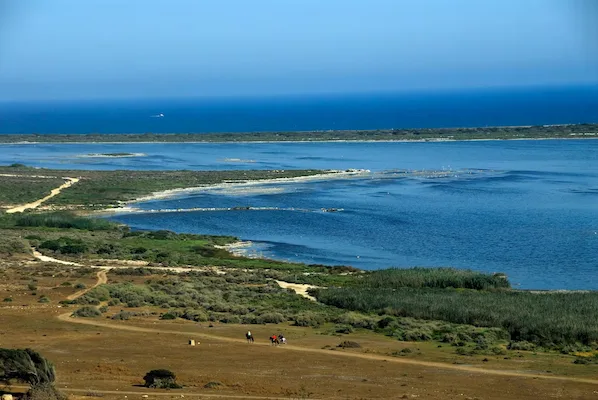 Paisaje de dunas y humedales en la Reserva Natural de Punta Entinas-Sabinar, playas naturales que ver en Roquetas de Mar